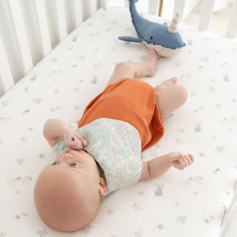 Cove Fitted Crib Sheet (Sea Life)