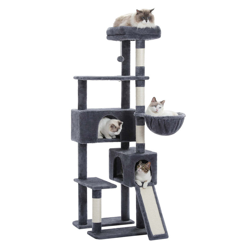 Grand arbre à chat, gris