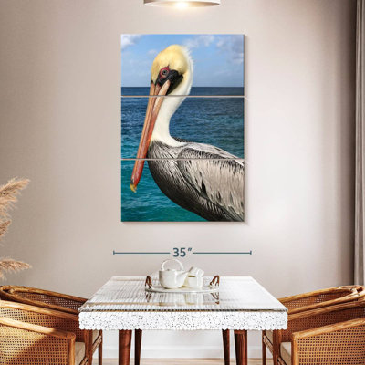 Brampt Pelican Profile