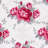 Betsey Johnson Printed Novelty Sheet Sets-129480172-129480168