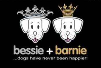 Bessie and clearance barnie discount code