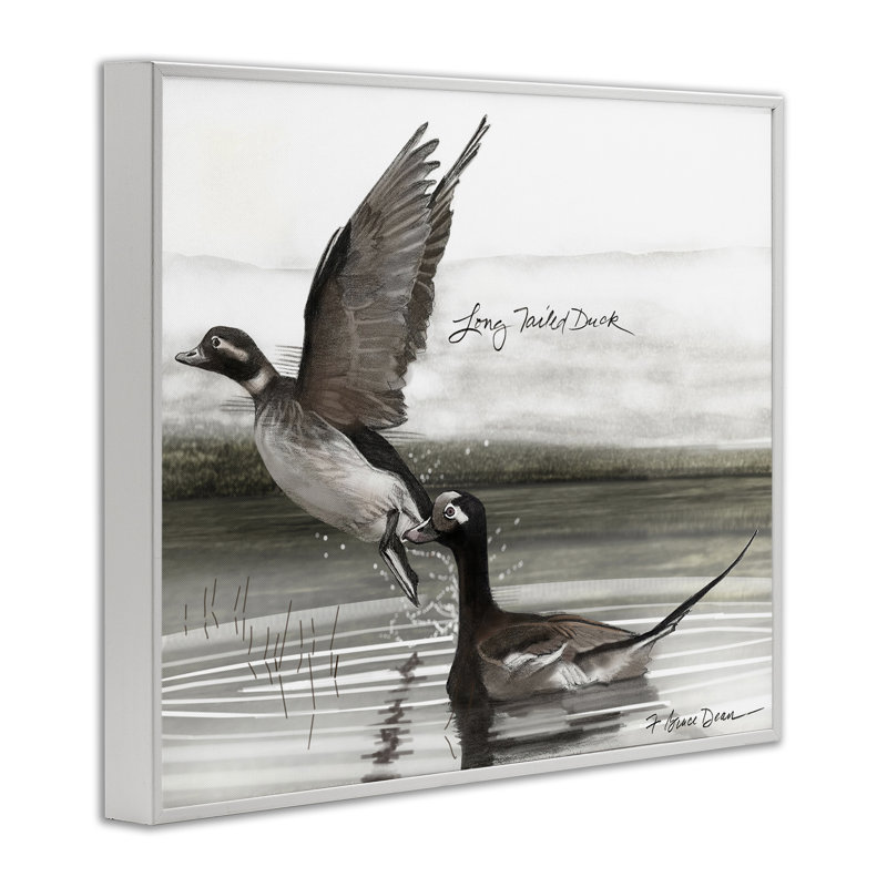 Giclée de canard à longue queue par Jadei, Giclée encadrée blanc bord de mer, H 11 po x l 14 po