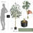 Eucalyptus Tree Artificial With Silver Dollar Leaves