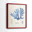 Algue bleue bleue - reproduction encadrée de qualité supérieure - prête à être accrochée - aucun clou requis - aucun clou requis-807077252-807077248