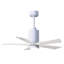 Patricia LED Downrod Ceiling Fan-486079860-486067293