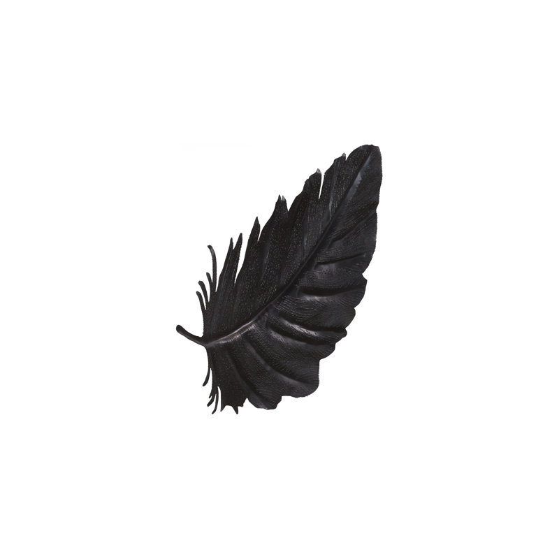 Feather Wall Decor, Black, Metal, 17" H x 36" W x 1" D