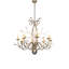 36" Wide Bordeaux 8 Light Chandelier