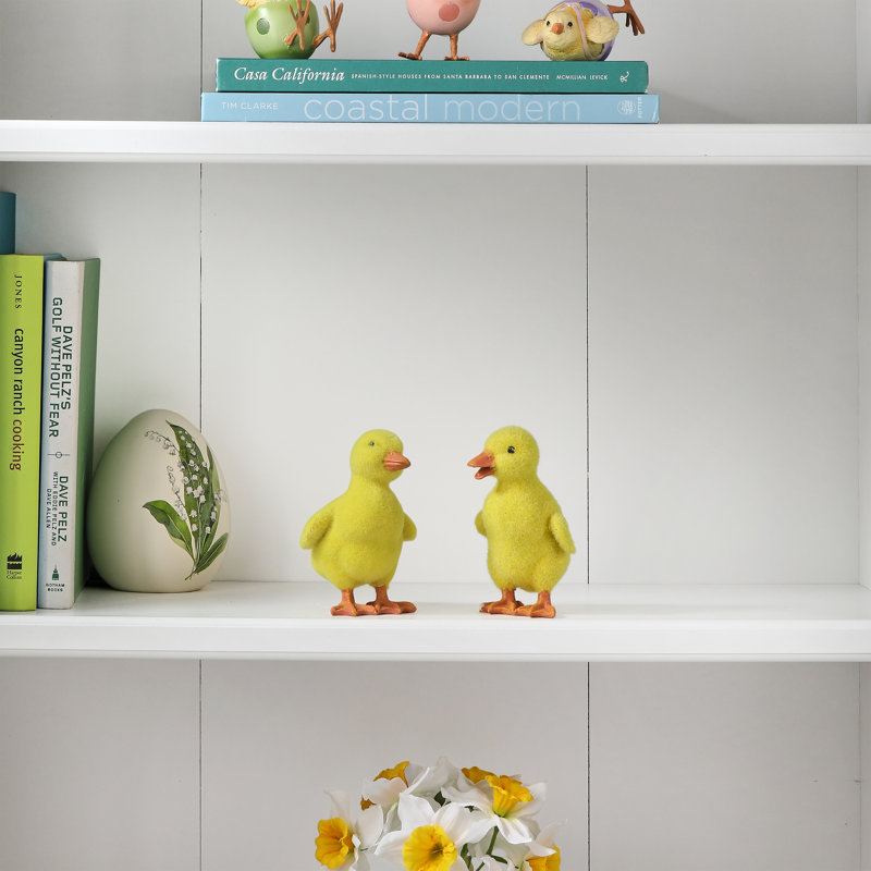 Canard 5 po
