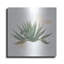 «Desert Color Succulent 1» par Sue Schlabach, art mural en métal-1531448867