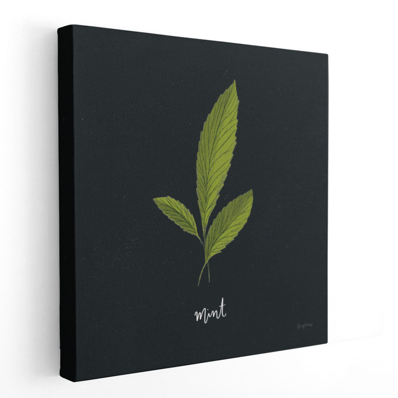Herbs VII Black - Canvas Print Wall Art, 12" H x 12" W