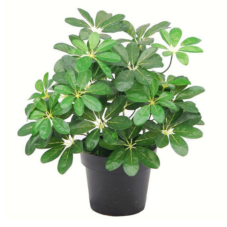 55cm Faux Plant in Pot Liner