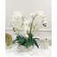 Malden Orchid Faux Floral in Vase