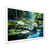 White Single Picture Framed