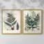 Collection de fougères VI - reproduction encadrée de qualité supérieure - prête à être accrochée - aucun clou requis - aucun clou requis-341600382-341600381
