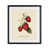 Cadre noir minuit sélectionné