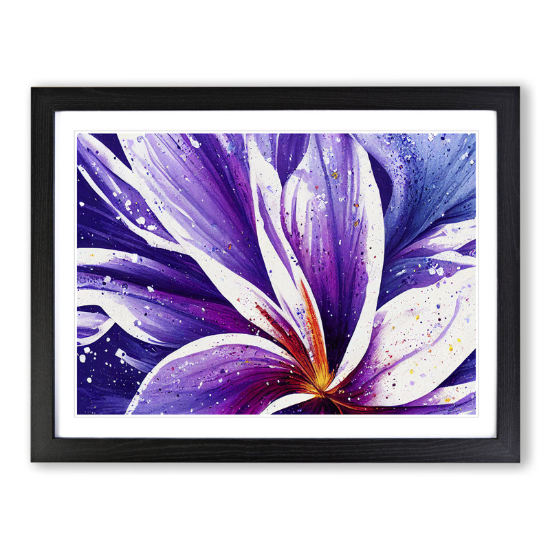 Colourful Iris Flower Vol.2 Abstract - Single Picture Frame Painting, Black Framed, 46cm H x 64cm W x 2cm D