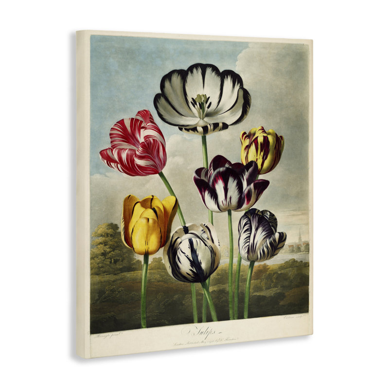 Tulipes du temple, conception de la collection Print, H 30 po x l 24 po