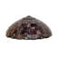 Dome Lamp Shade