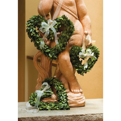 Javin Preserved Boxwood Wreath
