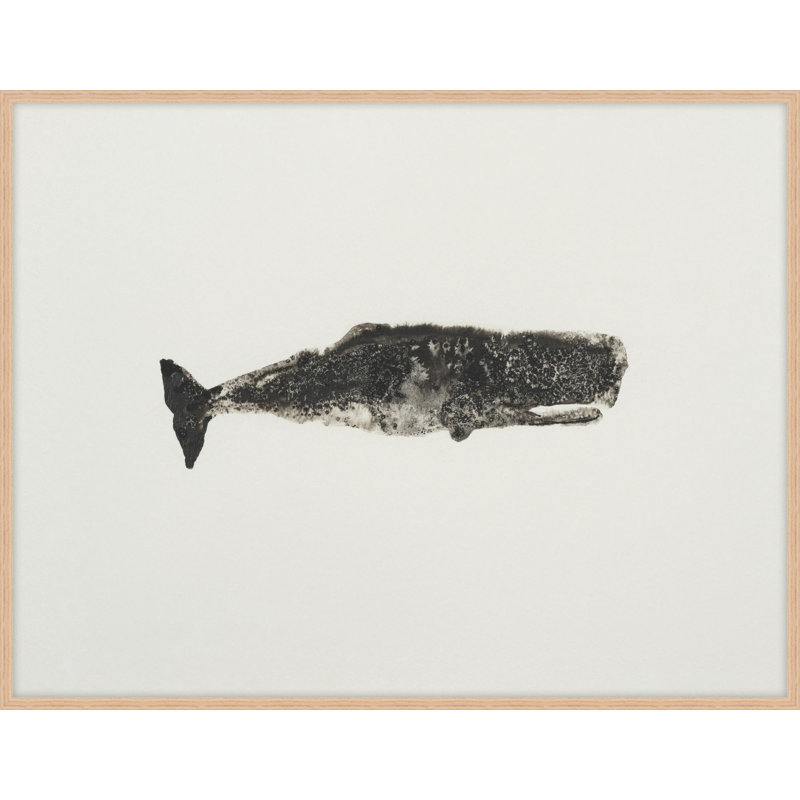 Ocean Creatures 7 Print by Kim Kimbro, 15.54" H x 19.54" W