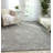 Trevethan Viscose Damask Indoor Rug-27814341