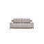Tarell 2 Seater Sofa Bed-1455921770