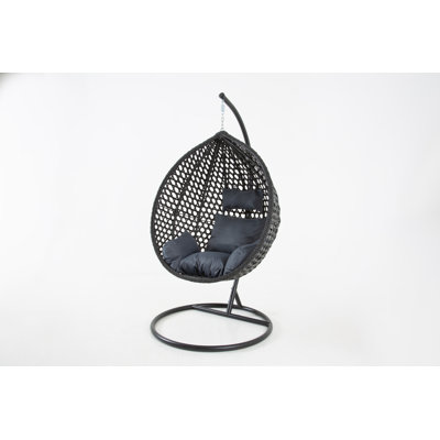 Pagnano Swing Chair with Stand