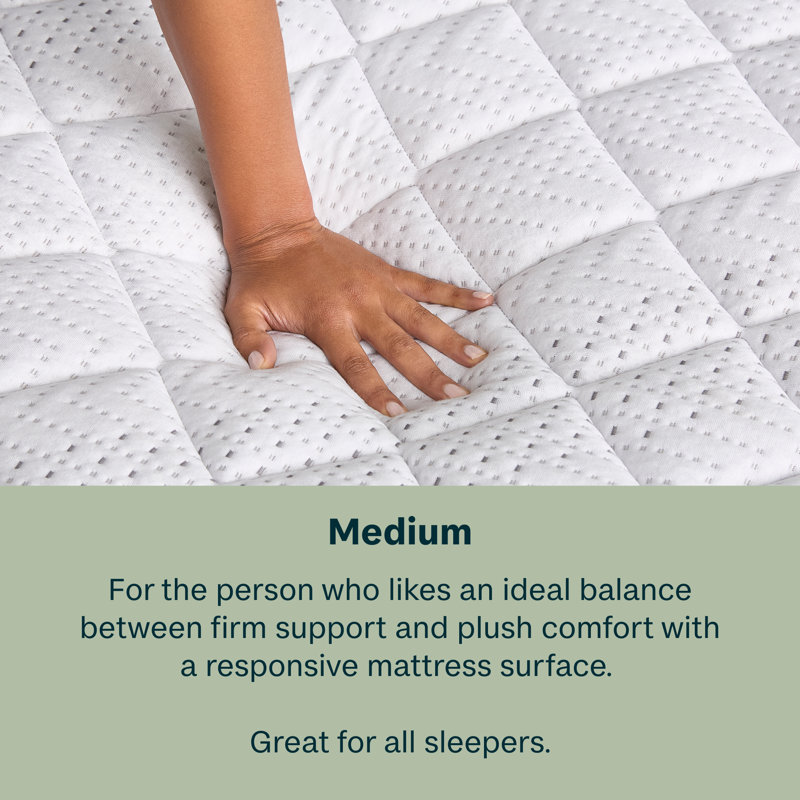 Beauty Sleep Slumber Time Medium 12" Hybrid Mattress in a Box, Full