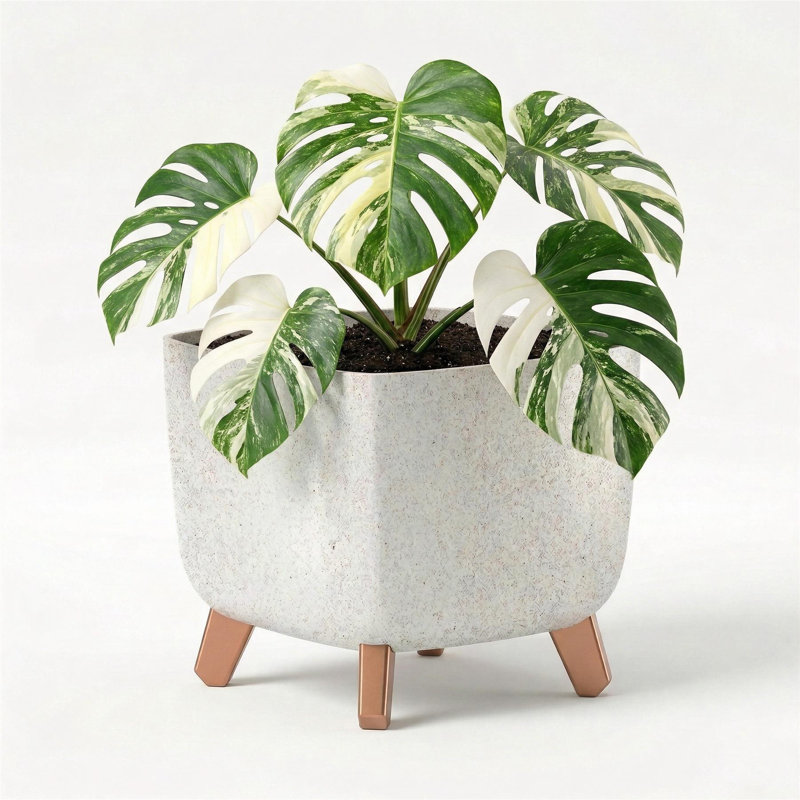 Pot Planter