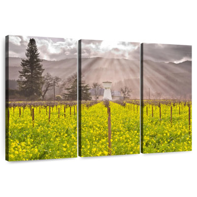 Alvord Napa Valley Vineyard