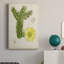 Antique Cactus I - impression sur toile tendue-449653800