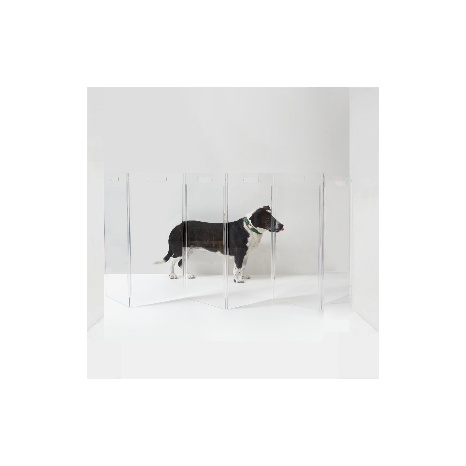 Tall Zig Zag Clear Pet Gate, 6-Panel