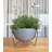 Clent Pot Planter-453852781-509738425