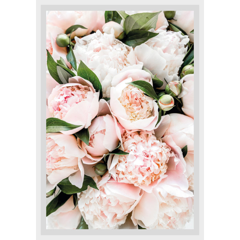 Rose - Single Picture Frame Print