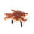 Solid Wood Top Single Coffee Table