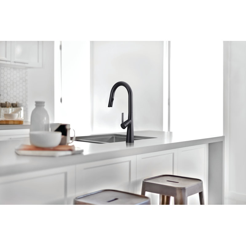 Ludik Pull-Down Kitchen Faucet, Black