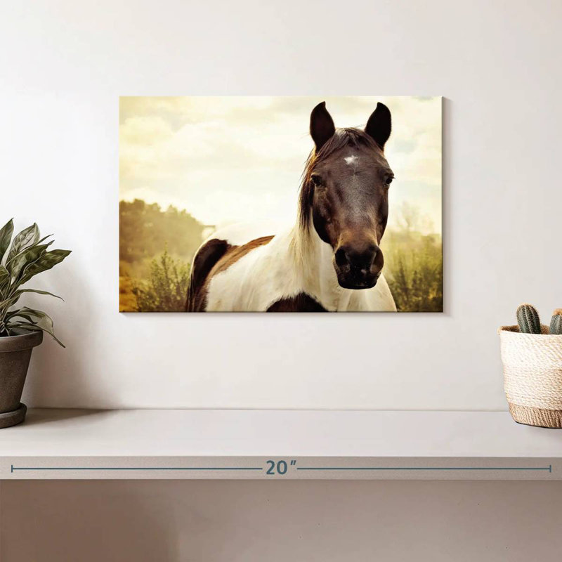 Brampt Horse Pasture, H 8 po x l 12 po