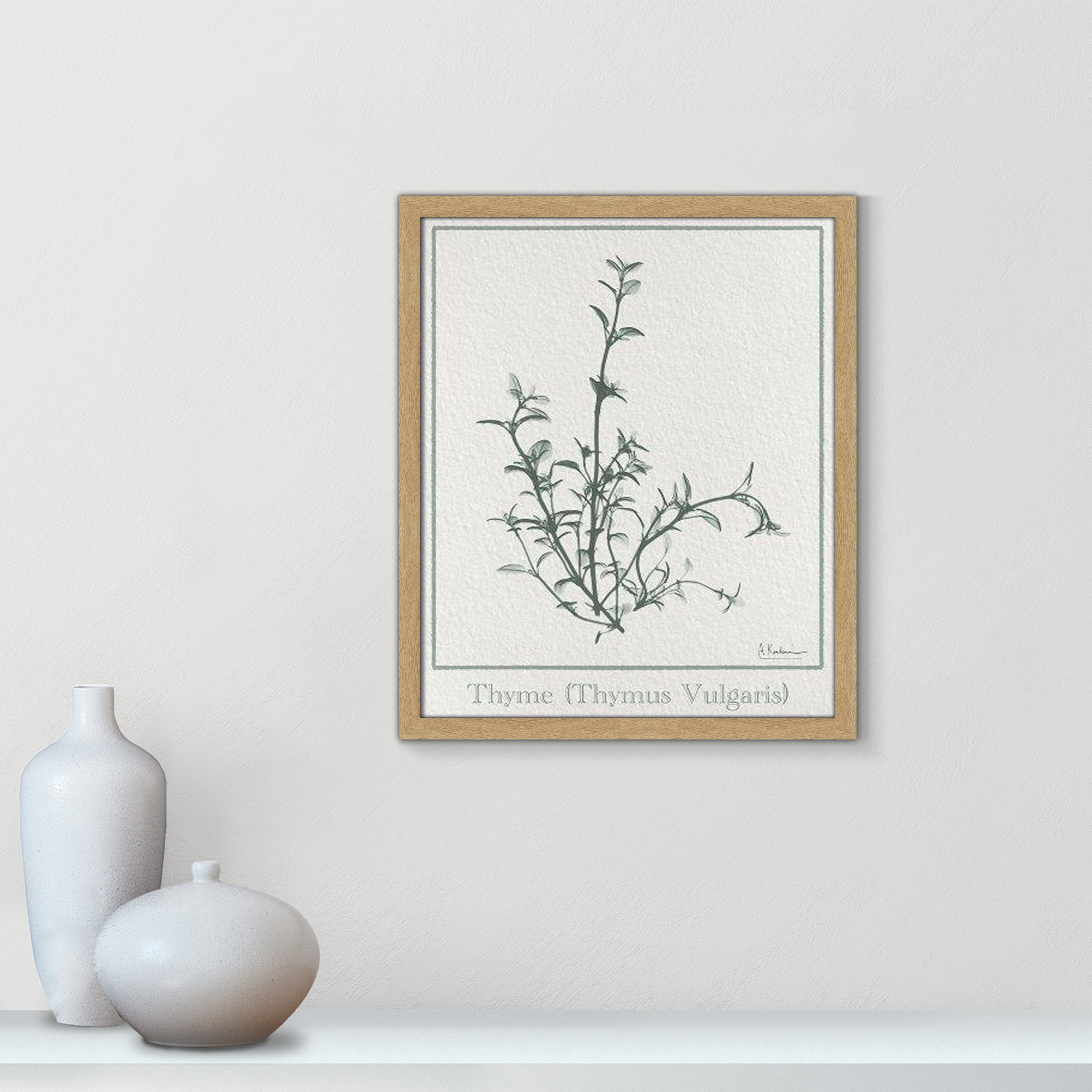 Jeanette "Thymus Vulgaris" Print, 19" H x 16" W x 1.25" D, Natural Framed Paper