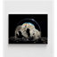 Impression de photographie de bureau de boule de verre, décoration de maison en verre glamour, impression de photographie foncée, idée de cadeau de bureau élégant