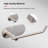 Wall Mounted Toilet Paper Holder