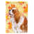Angles Cavalier Spaniel
