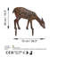 Shaina Decorative Object-2011725696
