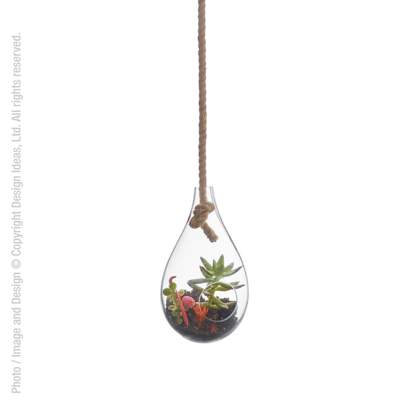 Small Clear Glass Hanging Teardrop Terrarium