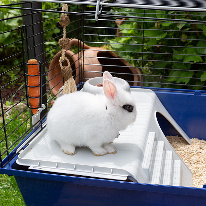 Rabbit Cage