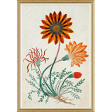 The Gordon African Collection: Plants, Robert Jacob Gordon, 1777-1786 Giclee Print by Robert Jacob Gordon