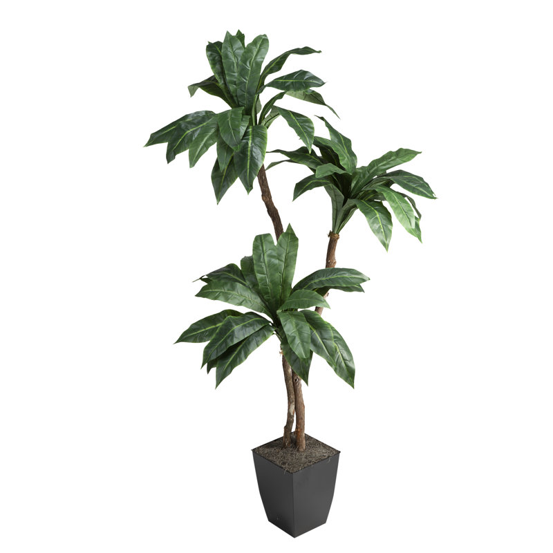 Pot à fleurs en métal Birdni Palm In Square
