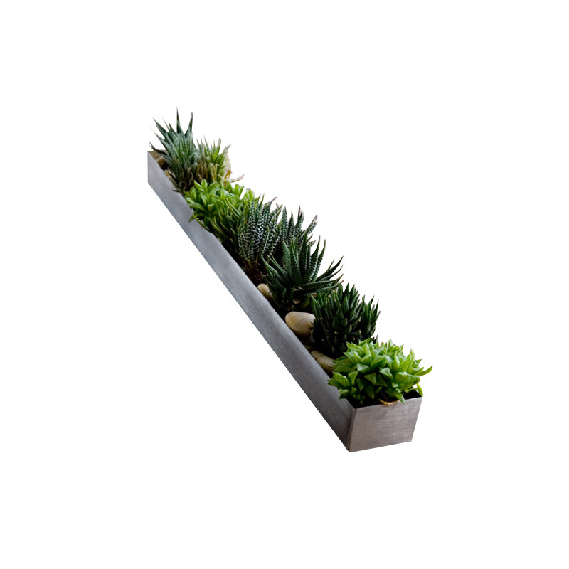 Fruit Trough, Vessel Planter Stainless Steel