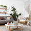 20 po de hauteur plante artificielle Zz en pot de ciment gris, plante décorative d'intérieur avec effet de verdure
