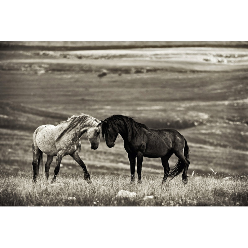 Wrapped Canvas Print, 50.8 cm H x 76.2 cm W