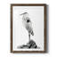 Shoreline Heron In B&W II - peinture encadrée-1032955130-1032955133